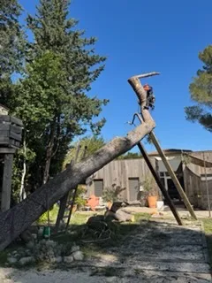 IMG 3460