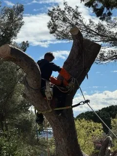 IMG 3462