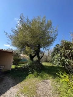 IMG 3464